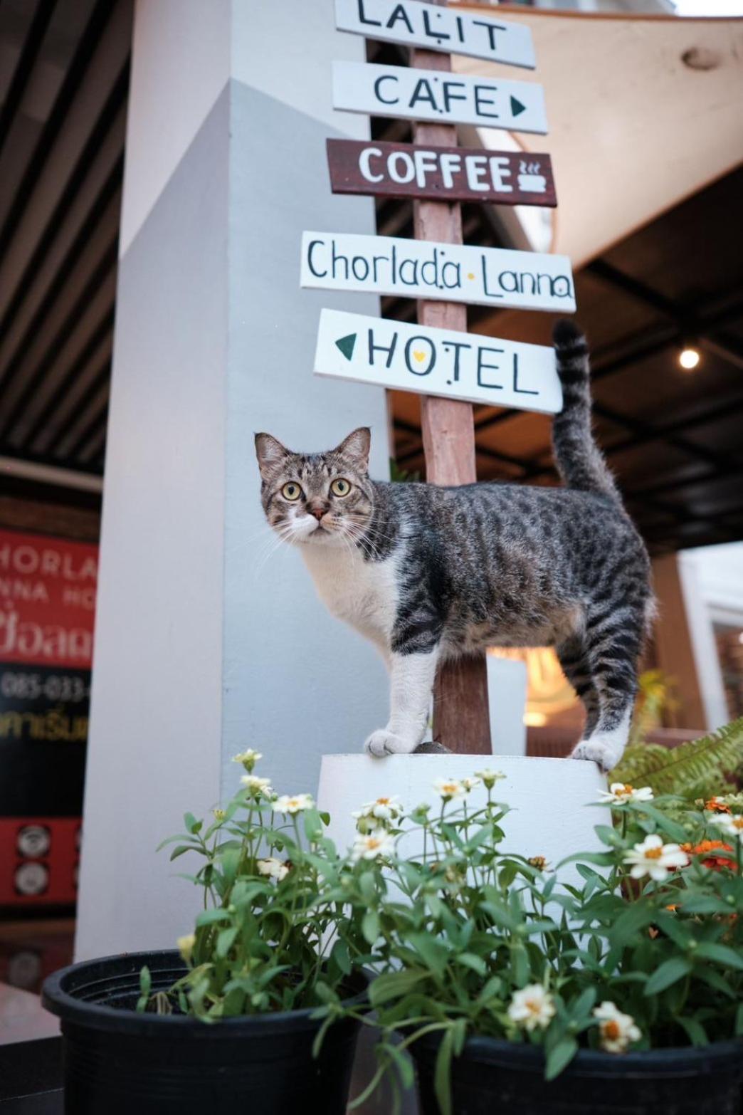 Chorlada Lanna Hotel Chiang Mai Exteriör bild